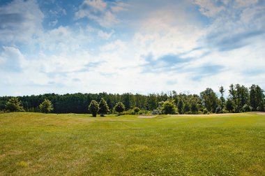 Yeşil alan, ağaç ve mavi gökyüzü. Arkaplan olarak harika, web pankartı