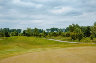 Çimenlerle, çiçekli çalılarla ve bulutlu mavi gökyüzüyle güzel bir yaz manzarası..