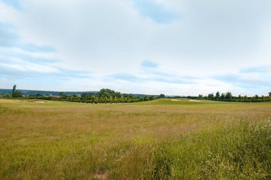 Çimenlerle, çiçekli çalılarla ve bulutlu mavi gökyüzüyle güzel bir yaz manzarası..