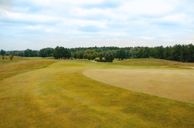 Çimenlerle, çiçekli çalılarla ve bulutlu mavi gökyüzüyle güzel bir yaz manzarası..