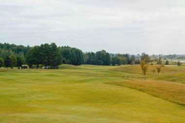 Çimenlerle, çiçekli çalılarla ve bulutlu mavi gökyüzüyle güzel bir yaz manzarası..