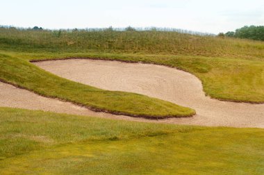 Çimenlerle, çiçekli çalılarla ve bulutlu mavi gökyüzüyle güzel bir yaz manzarası..