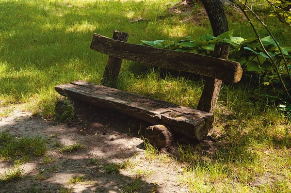 一个有公园的古老木制长椅 — 图库照片