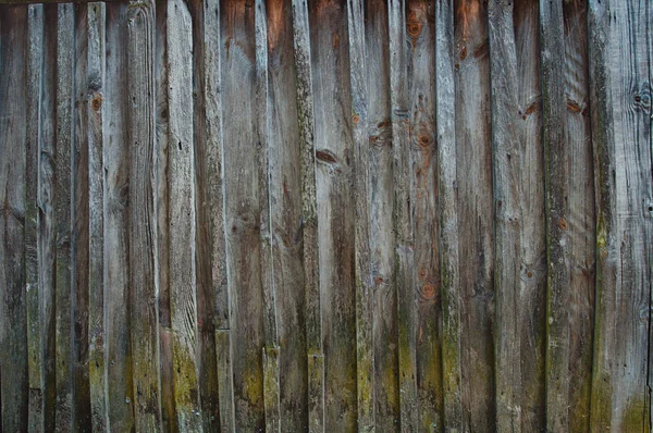 Fence Old Tree Wooden Background — Stock Photo, Image