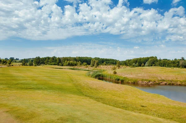 ゴルフ場で湖 美しいキジ 青い曇りの空 ゴルフコースの木や茂み — ストック写真
