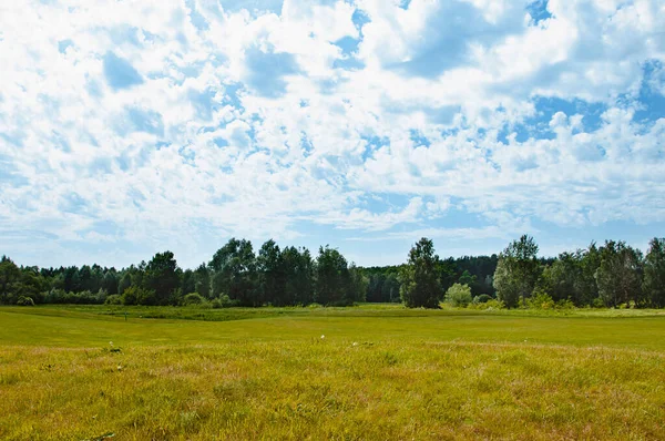 Grönt Fält Träd Och Blå Himmel Bra Som Bakgrund Web — Stockfoto