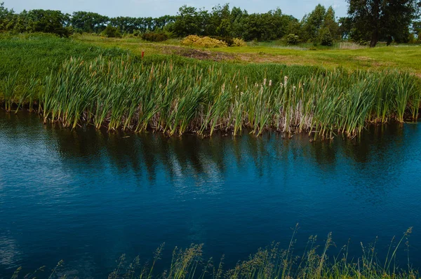 Lago Sul Campo Golf Bellissimo Fagiano Cielo Nuvoloso Blu Alberi — Foto Stock