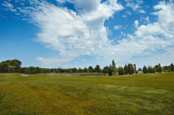 Зеленое поле, дерево и голубое небо. Отличный фон, веб-баннер