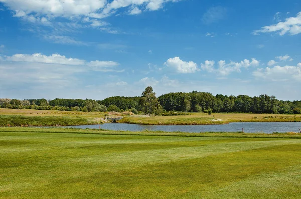 Meer Golfbaan Prachtige Fazant Blauwe Bewolkte Lucht Bomen Struiken Golfbaan — Stockfoto
