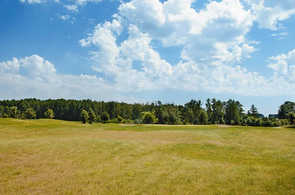 Groen Veld Boom Blauwe Lucht Geweldig Als Achtergrond Webbanner — Stockfoto