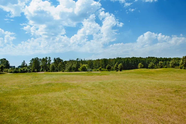 Yeşil alan, ağaç ve mavi gökyüzü. Arkaplan olarak harika, web pankartı