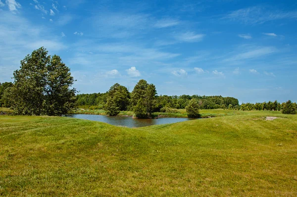 Golf sahasında göl. Güzel sülün, mavi bulutlu gökyüzü, golf sahasında ağaçlar ve çalılar.
