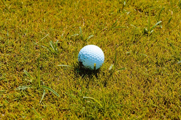 Golfbollen Gräset — Stockfoto