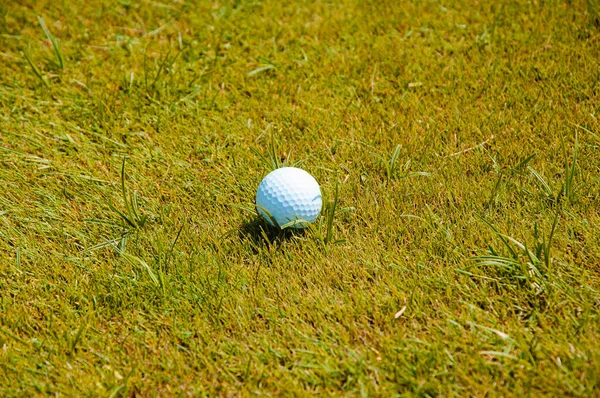 ゴルフボールが草の上にある — ストック写真