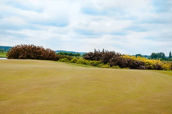 Linda Paisagem Verão Campo Golfe Com Grama Floração Arbustos Amarelos — Fotografia de Stock