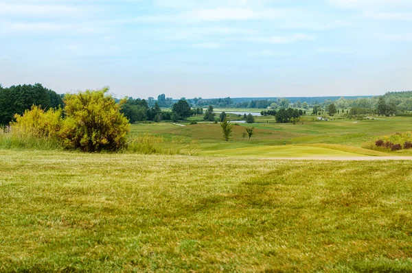 Bellissimo Paesaggio Estivo Campo Golf Con Erba Cespugli Fioriti Cielo — Foto Stock