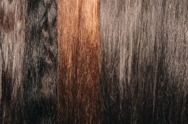 Boyamadan sonra doymuş sağlıklı parlak saçlar. Toparlanma yapısı kavramı.