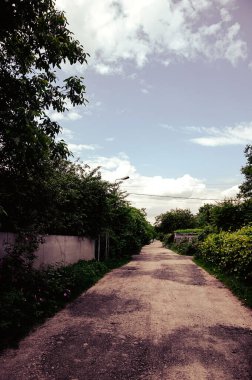 Mavinin arka planında köy yolu ve tarlaları