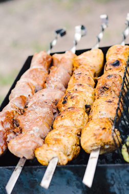 Izgara domuz kebabı et, açık hava pikniği.