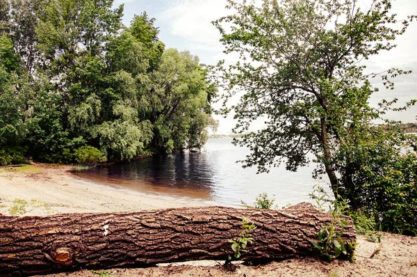 Oever Van Het Meer Met Bomen Struiken — Stockfoto