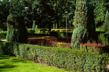 Baharda güzel bir park bahçesi.