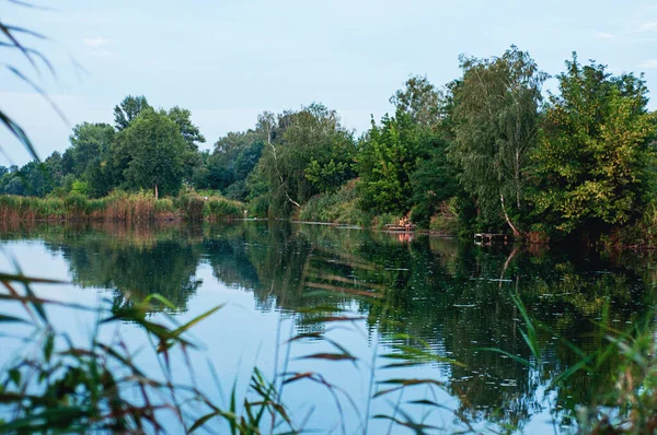 Paesaggio Lago Nella Foresta Ragazzo Con Ragazza Riposa Sulla Riva — Foto Stock