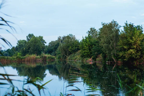 Paesaggio Lago Nella Foresta Ragazzo Con Ragazza Riposa Sulla Riva — Foto Stock