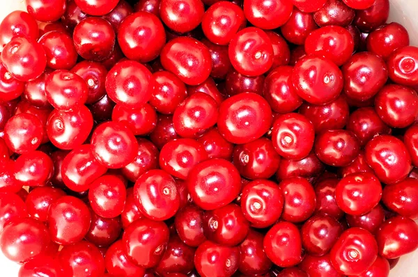 Cseresznye Kosár Cseresznye Háttér Cseresznye Levéllel — Stock Fotó