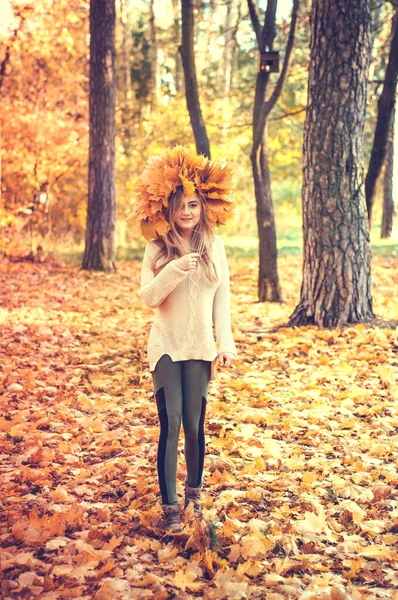 Foto Moda Livre Jovem Bela Senhora Rodeado Folhas Outono — Fotografia de Stock