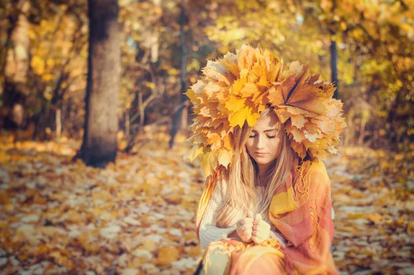 Foto Moda Livre Jovem Bela Senhora Rodeado Folhas Outono — Fotografia de Stock