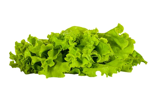 Grüner Eichensalat Isoliert Auf Weißem Hintergrund — Stockfoto