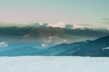 Sisli arazideki güzel sis dağlarının görkemli manzarası. Dramatik sıradışı sahne. Seyahat geçmişi. Güzellik dünyasını keşfediyorum. Karpat Dağları. Ukrayna. Avrupa.
