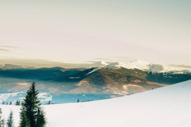 Sisli arazideki güzel sis dağlarının görkemli manzarası. Dramatik sıradışı sahne. Seyahat geçmişi. Güzellik dünyasını keşfediyorum. Karpat Dağları. Ukrayna. Avrupa.