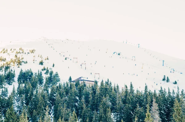 Majestueus Uitzicht Prachtige Mistbergen Het Nevellandschap Dramatische Ongewone Scène Reisachtergrond — Stockfoto