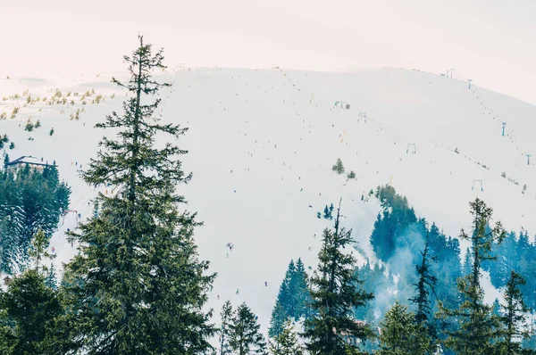 Majestuosa Vista Sobre Hermosas Montañas Niebla Paisaje Niebla Escena Dramática — Foto de Stock