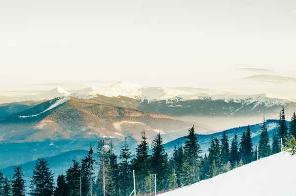 Majestuosa Vista Sobre Hermosas Montañas Niebla Paisaje Niebla Escena Dramática — Foto de Stock