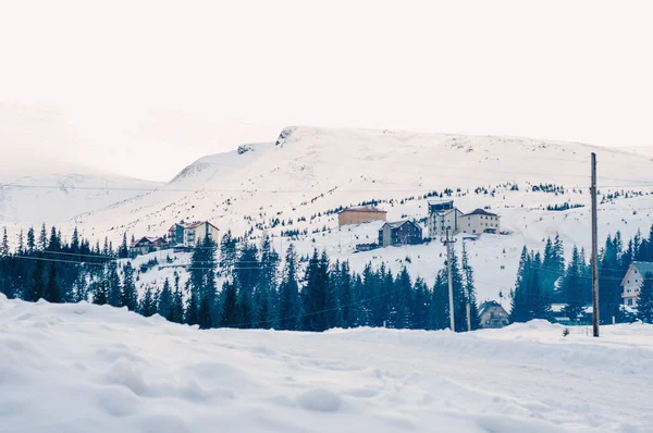 Hermoso Paisaje Invierno Con Árboles Cubiertos Nieve — Foto de Stock