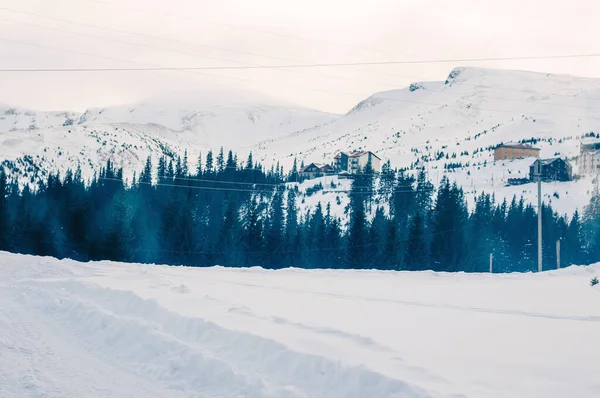 Hermoso Paisaje Invierno Con Árboles Cubiertos Nieve — Foto de Stock