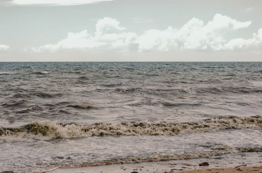 Fırtınadan sonra kirli yeşil yosun denizi