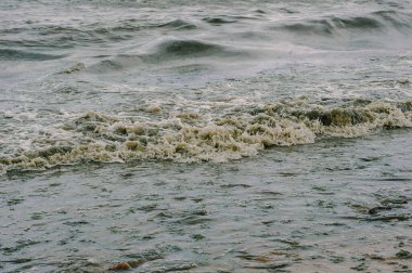 Fırtınadan sonra kirli yeşil yosun denizi
