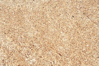 Deniz dalgası kumsalda