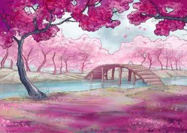 Bahar. Kiraz çiçeği. Japon bahçesi.