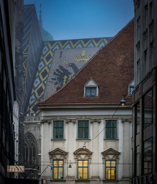 Antigua casa y techo Stephansdom en Viena — Foto de Stock