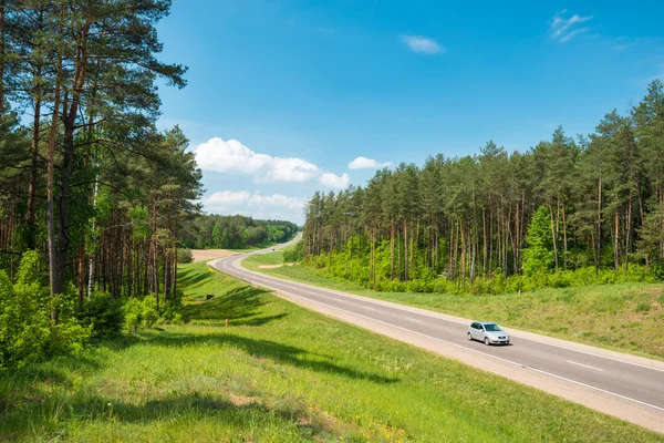 Автомобіль на дорозі в лісі в Білорусі — стокове фото