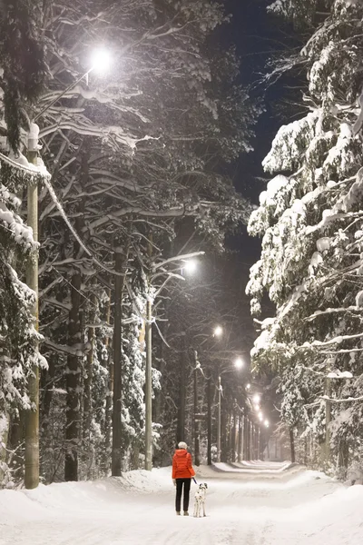 Girl and dog in winter forest — Stock Photo, Image