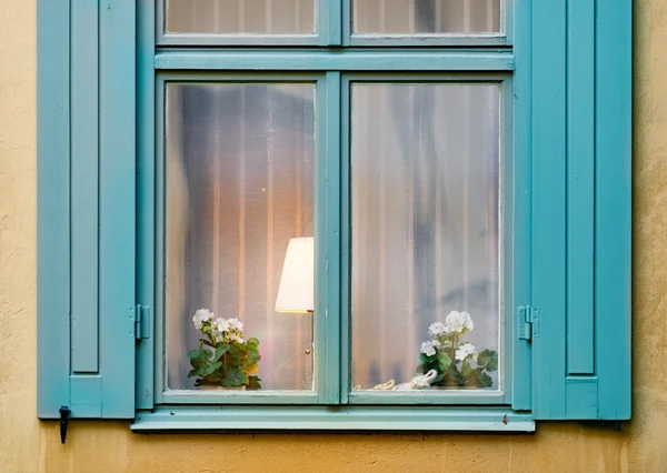 Ventana con lámpara y flor — Foto de Stock