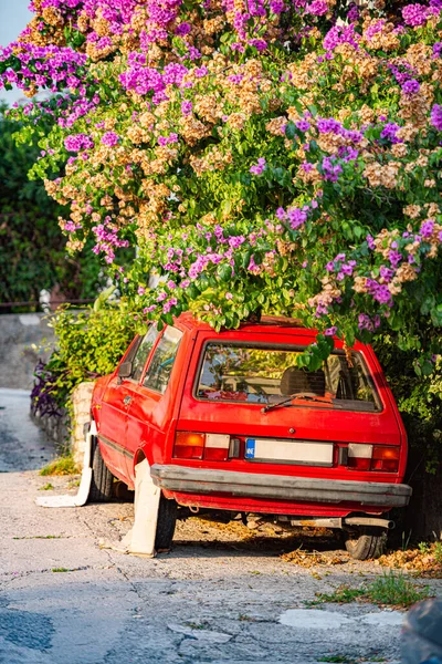 Retro Auto Zaparkované Ulici Pod Stromem Černá Hora Evropa Oldtimer — Stock fotografie
