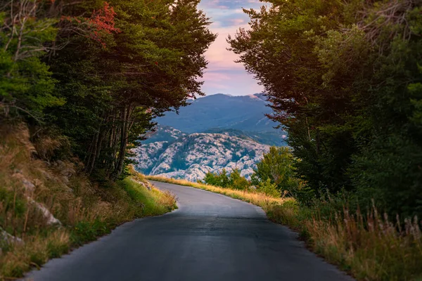 Carretera Bosques Montañas Montenegro Balcanes Europa — Foto de Stock