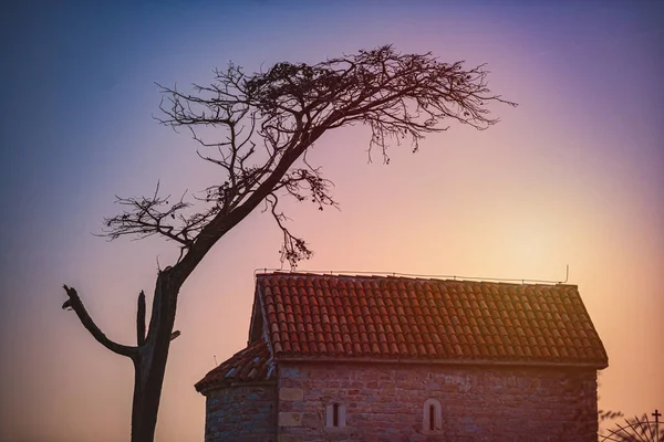 Igreja Árvore Pôr Sol Montenegro Balcãs Europa — Fotografia de Stock