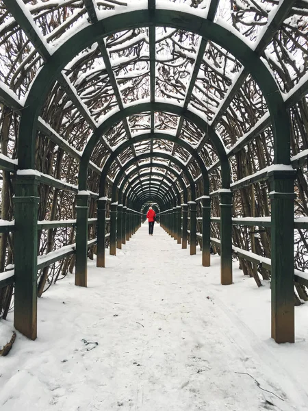 Pessoa Parque Inverno Com Arcos Árvores Primeiro Plano — Fotografia de Stock